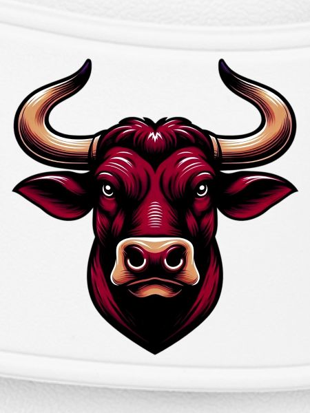 Stier