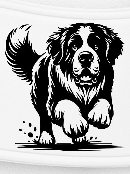 Saint Bernard