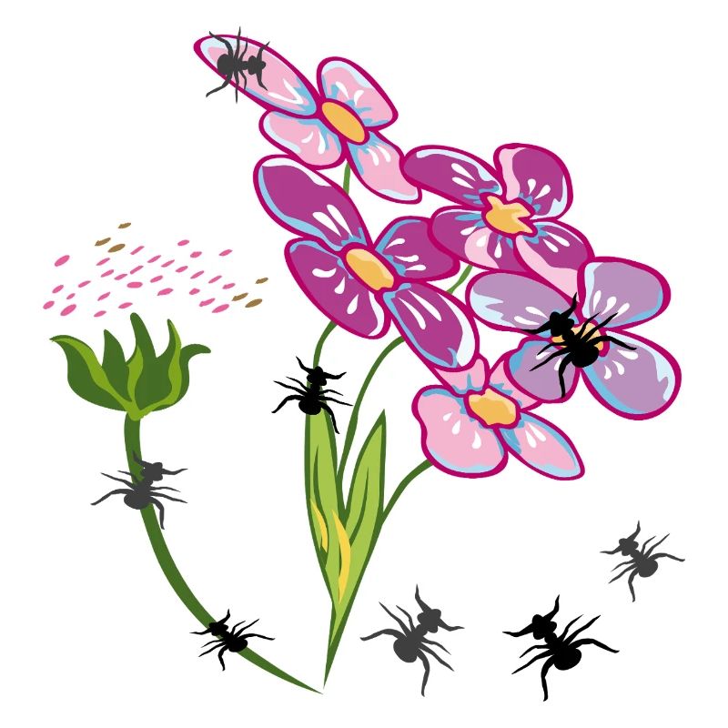 Fleurs avec des fourmis insectes