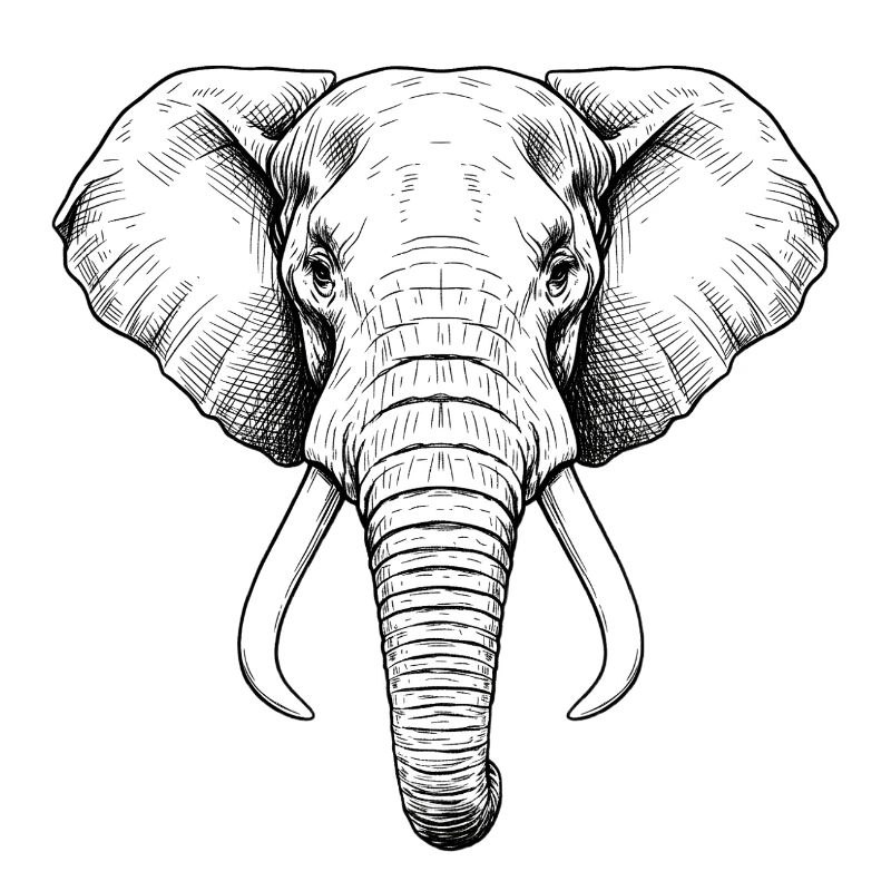 Elefant