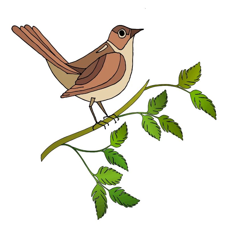 Bunter Vogel