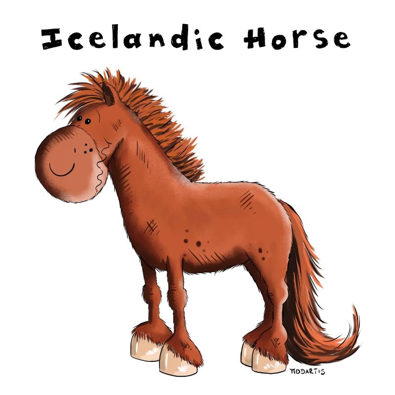 Der Isländer