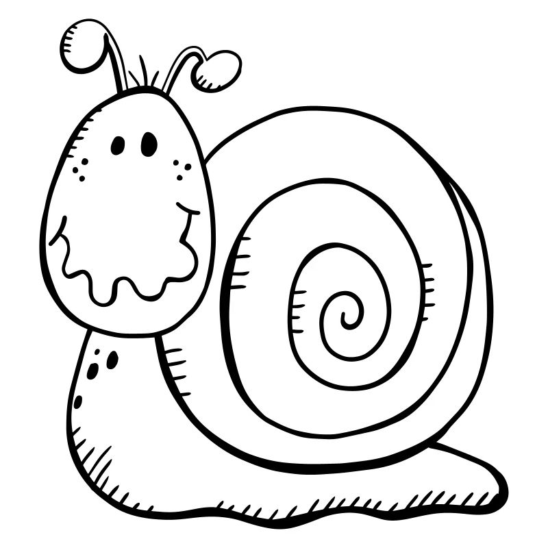 Escargot drôle