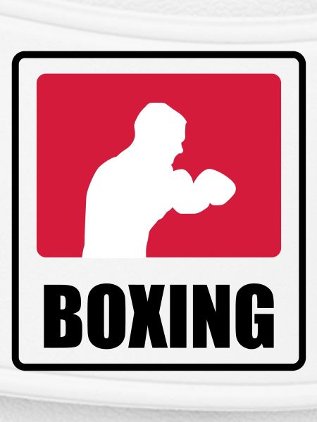 Boxer - Boxing 🥊