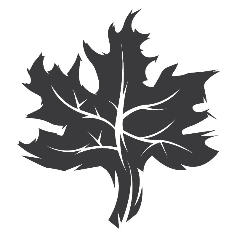 Maple Leaf Illustration Nature Forest Icône graphique