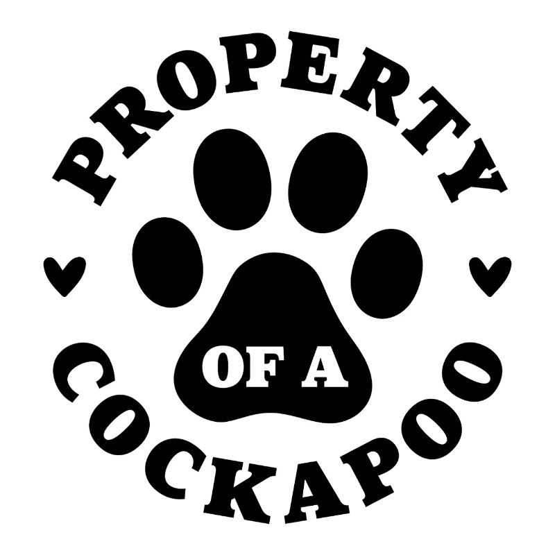 Eigentum eines Cockapoo