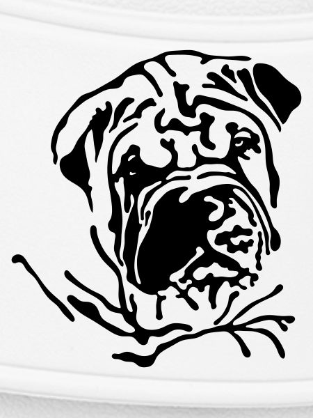 Shar-Pei