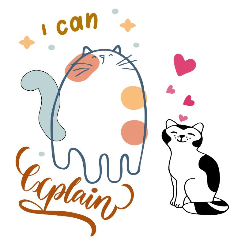 I can explain