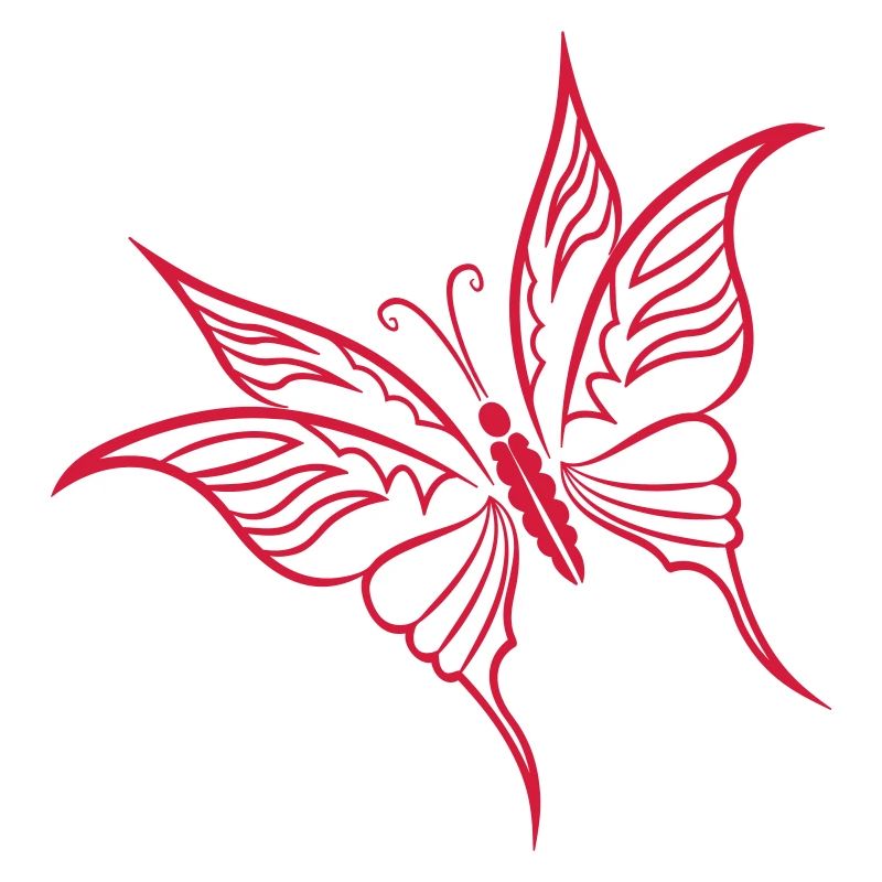 Butterfly Spring