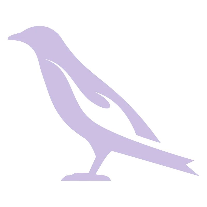 Burning Bird | Burning Bird Silhouette