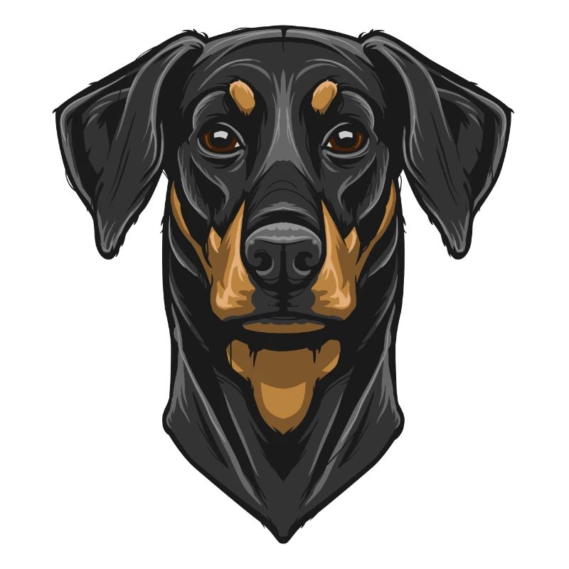 Dobermann