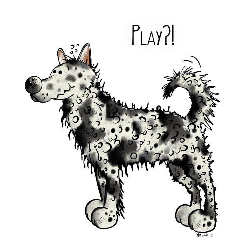 Mudi Play