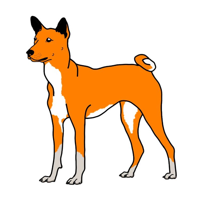 Ginger Doggy