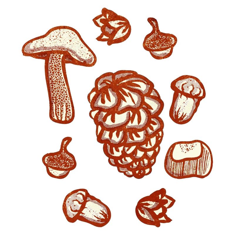 Rustic autumn decoration illustration