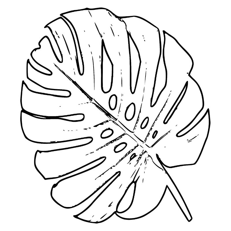 Monstera Leaf Outline