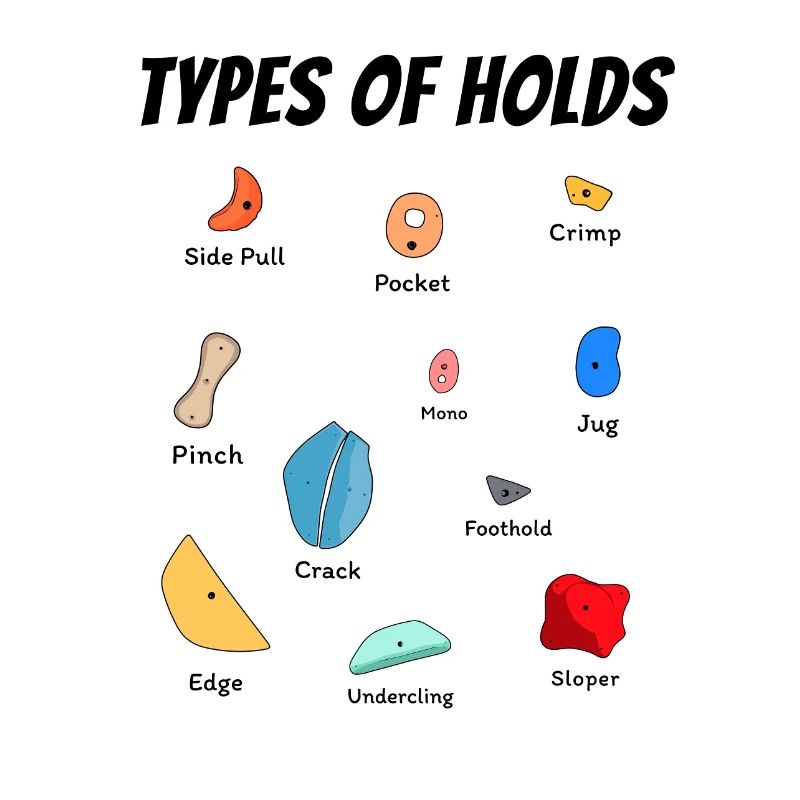 Different Climbing Holds for Bouldering Gym
