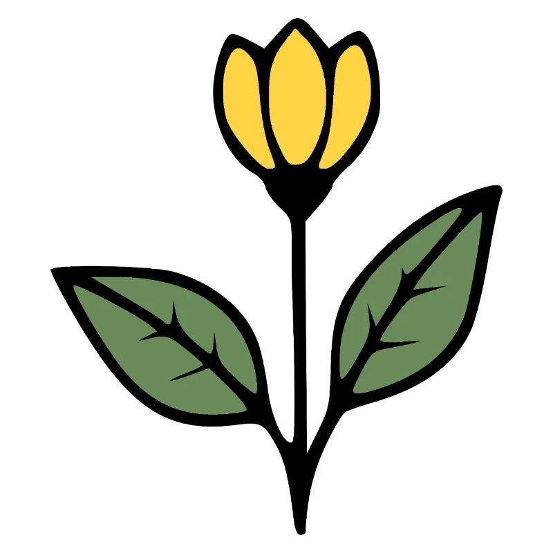 Idée cadeau fleur Tulipe Fleurs Fleurs Maman