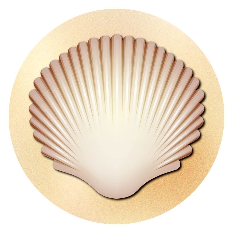 Shell (sand, round)