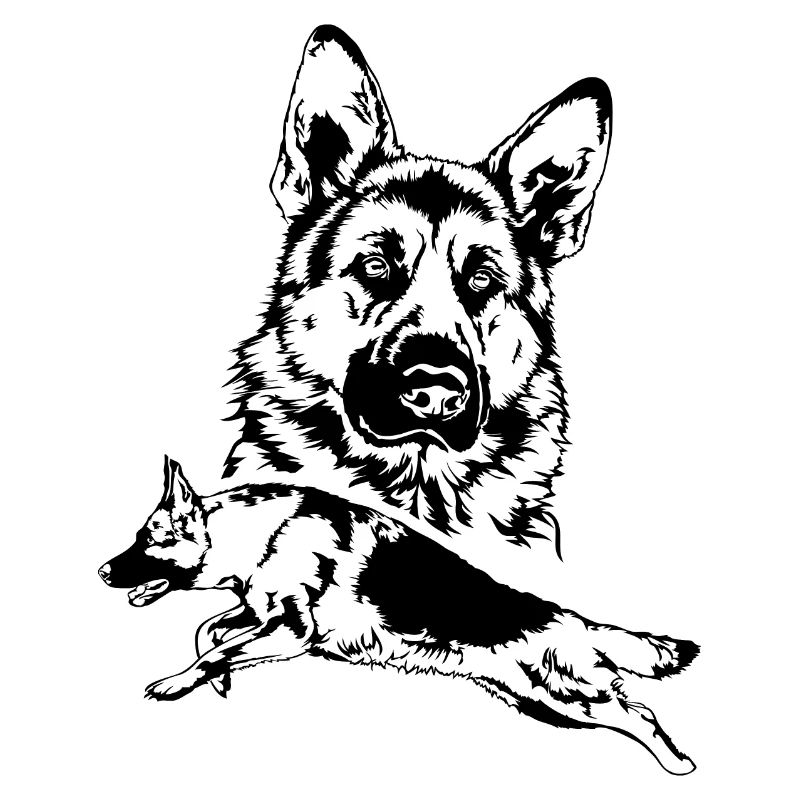 DEUTSCHER SCHÄFERHUND German Shepherd C Wilsigns
