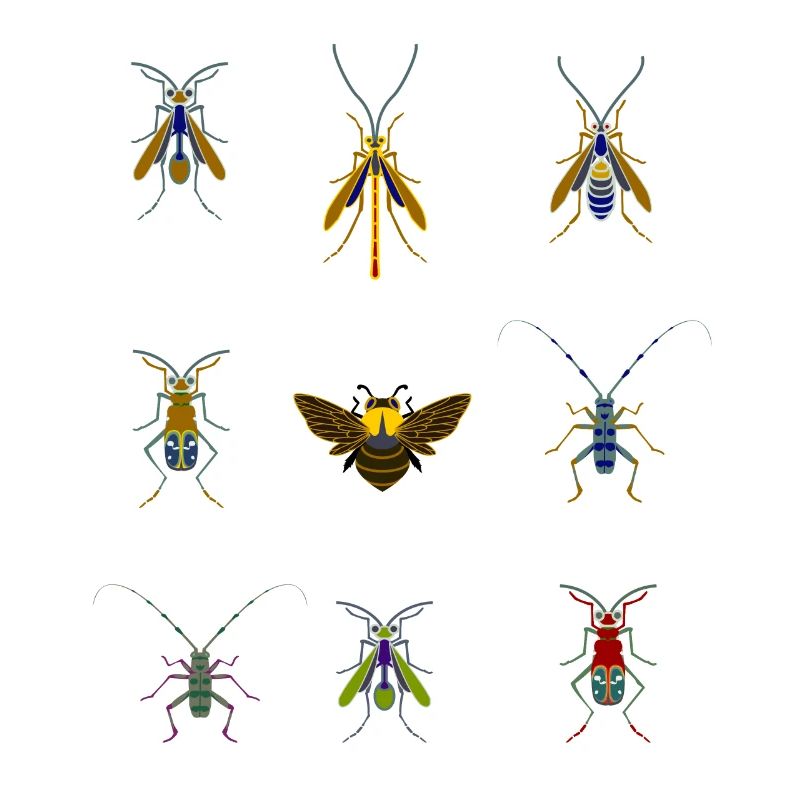 insects mosquitoes bee sting overview fly bug