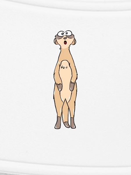 suricates