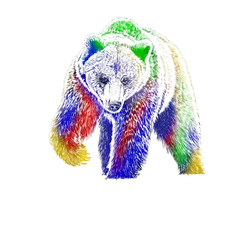 Bär