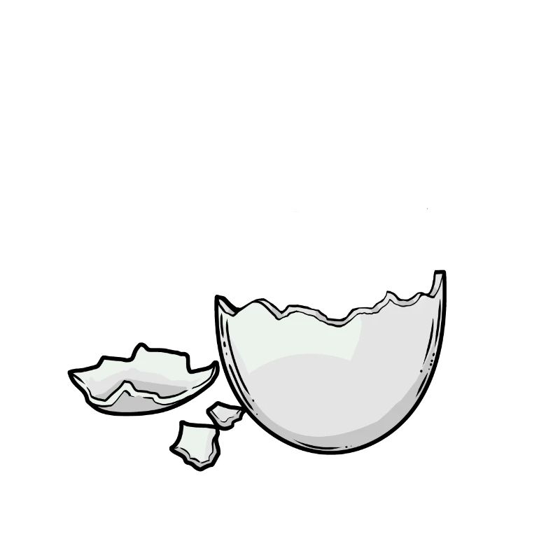 Eggshell Egg Eggs Hatch Baby Birth Pregnant