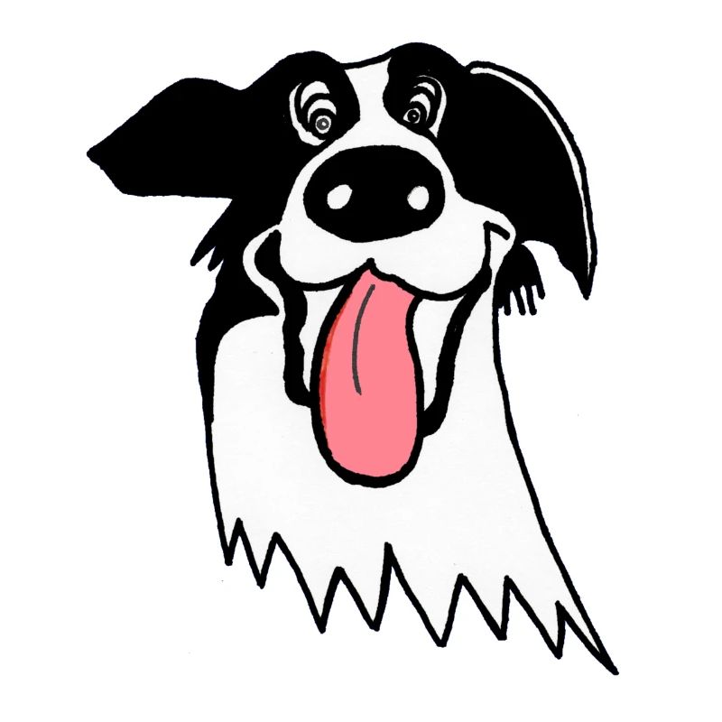 Netter Border Collie