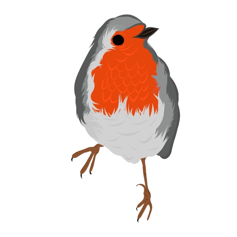 Rotkehlchen