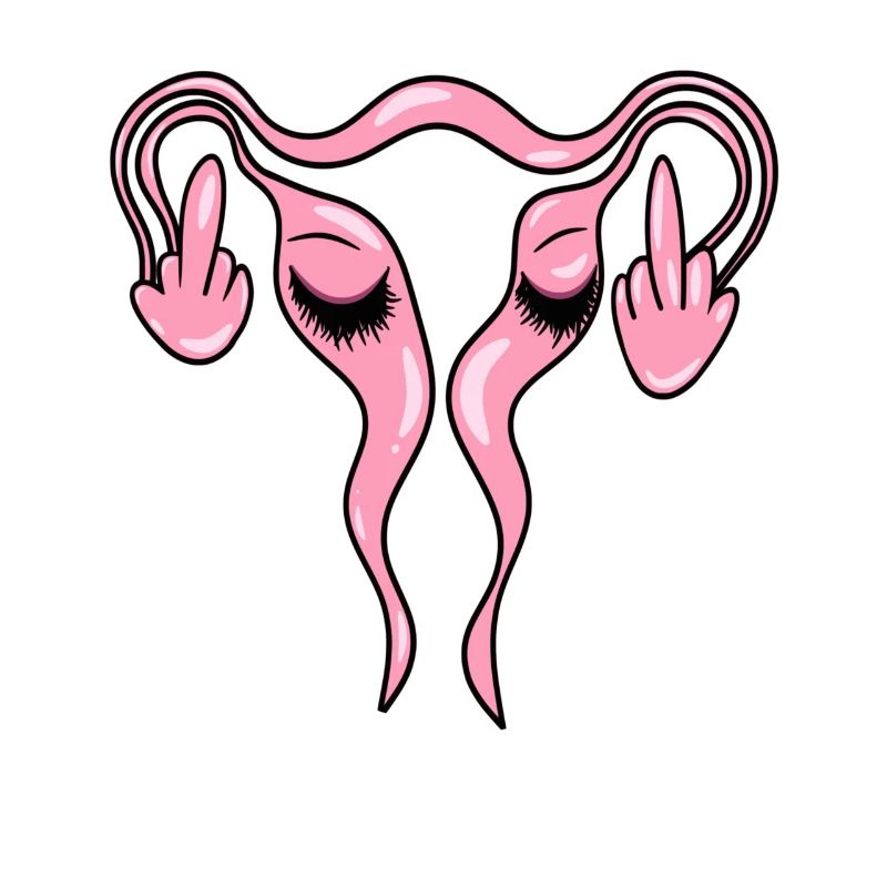 FCK Uterus - Eierstöcke mit Wimpern