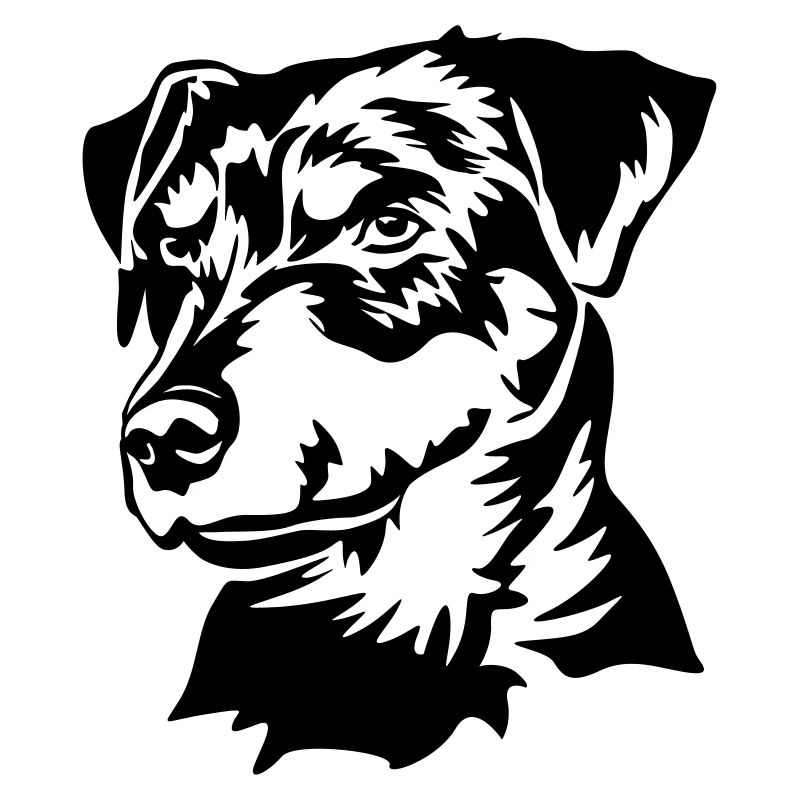 Tête de Jagdterrier allemand