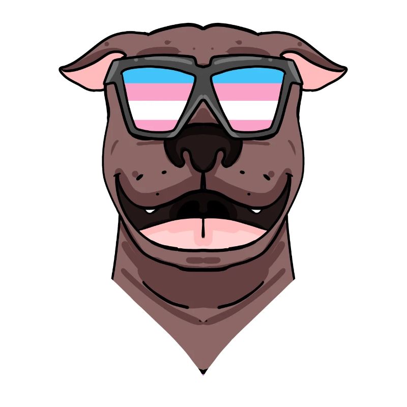 American Dog
