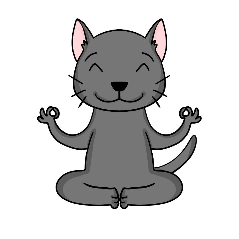 Chat de yoga Propriétaire de chat Korat