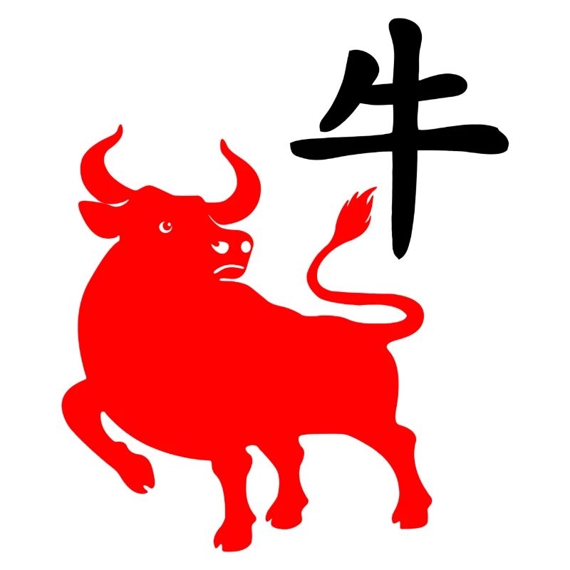 Caractère chinois rouge os avec image du système d’exploitation