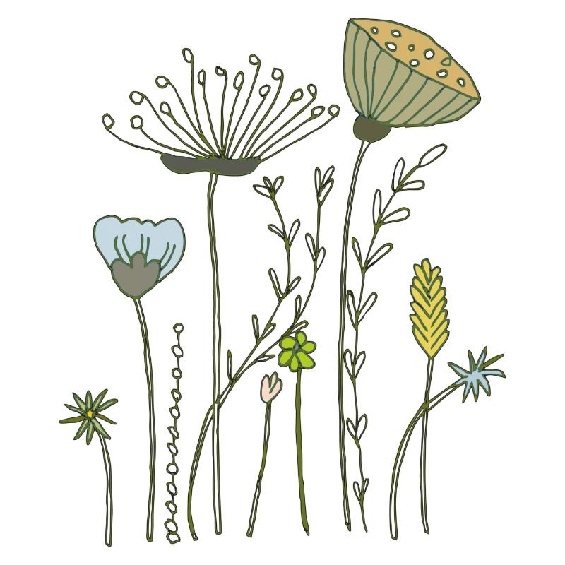 fleurs séchées prairie fleurie