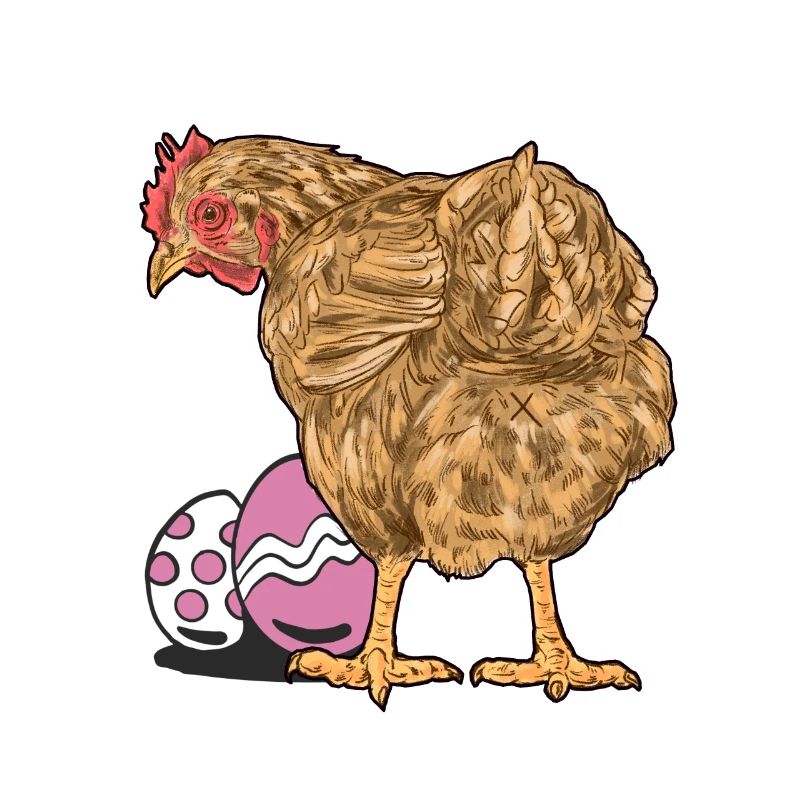 Chicken, Poultry, Poultry, Eggs, Egg, Easter, Easter Egg