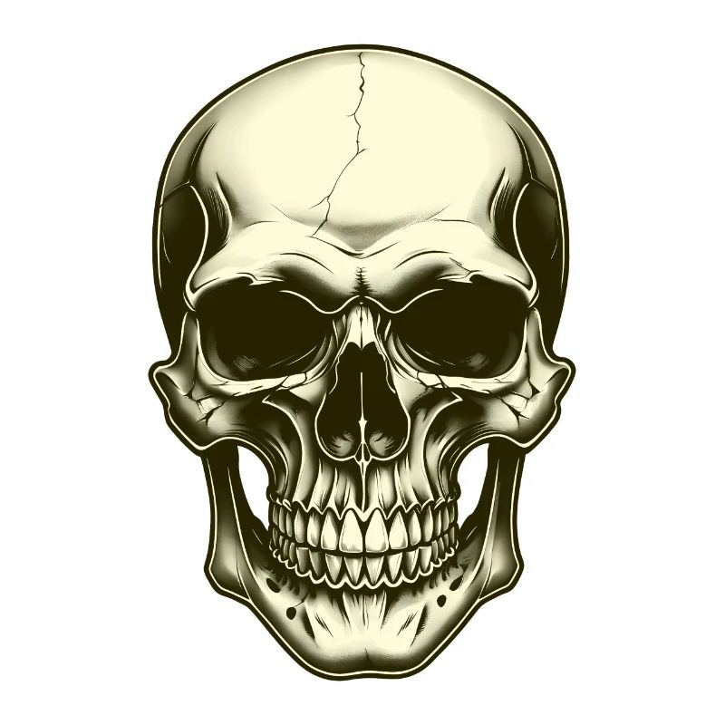Skull skull