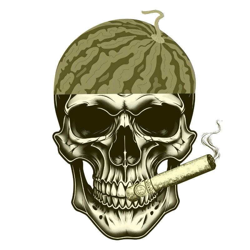 tête de Pastèque crâne stylé