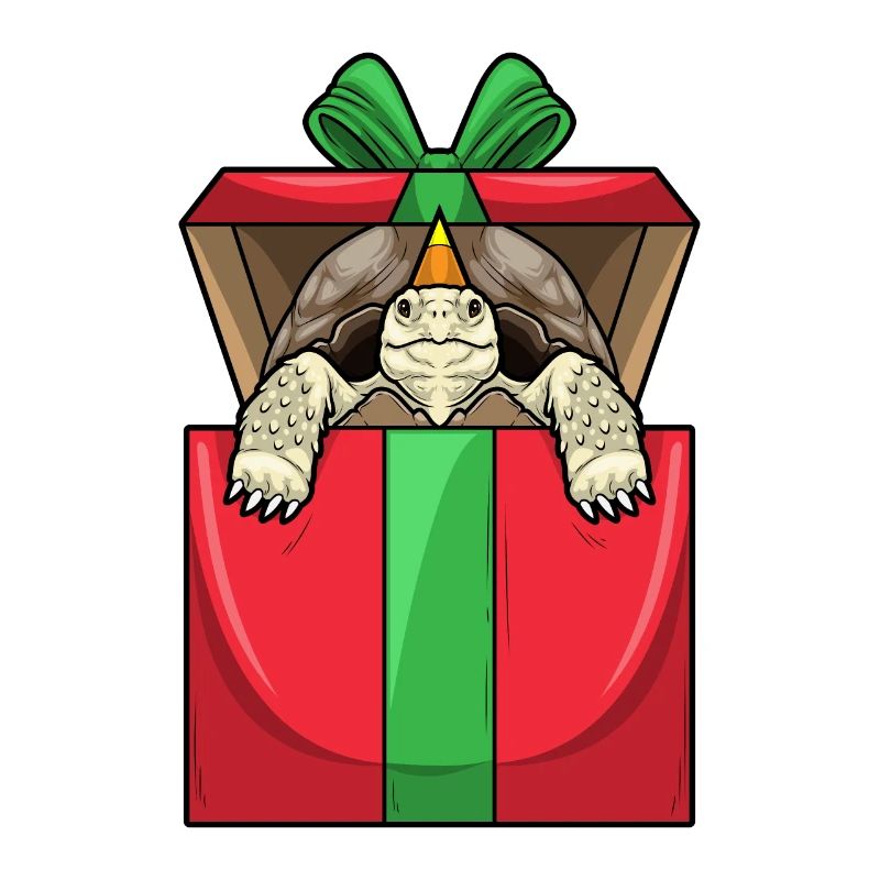 Turtle Birthday Package