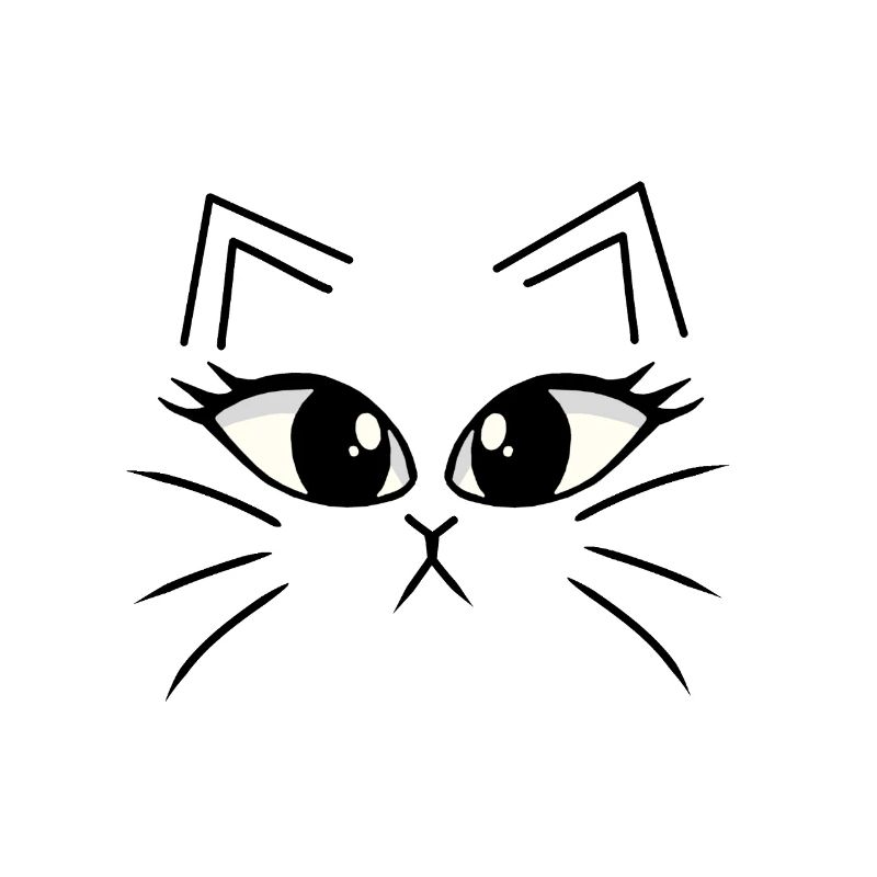 Chaton Chat Visage Chat Chats Miaulement