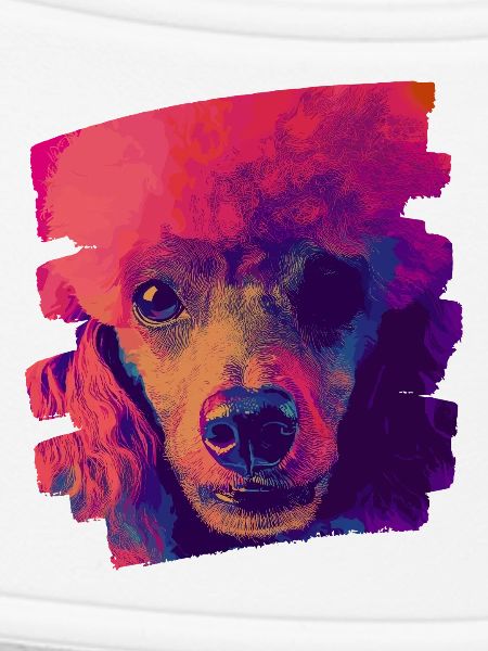 Poodle