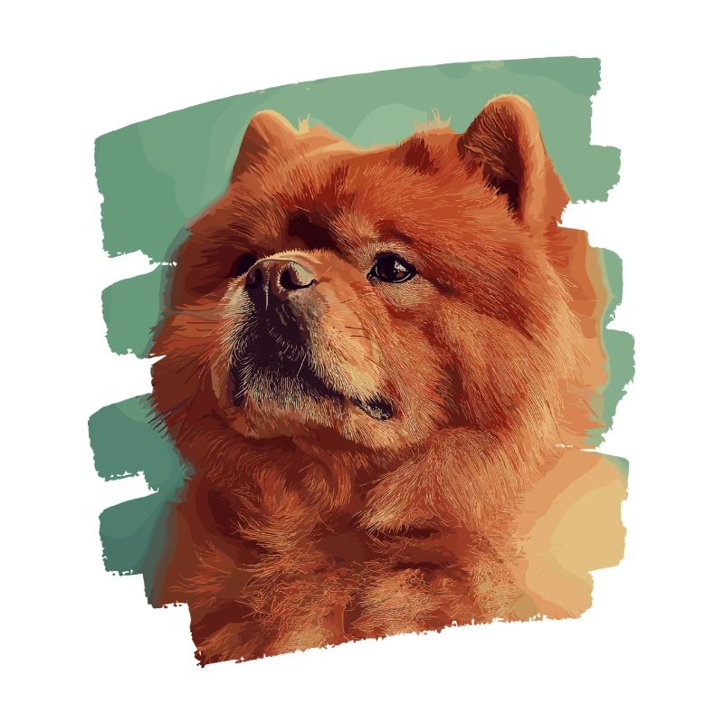 Chow Chow