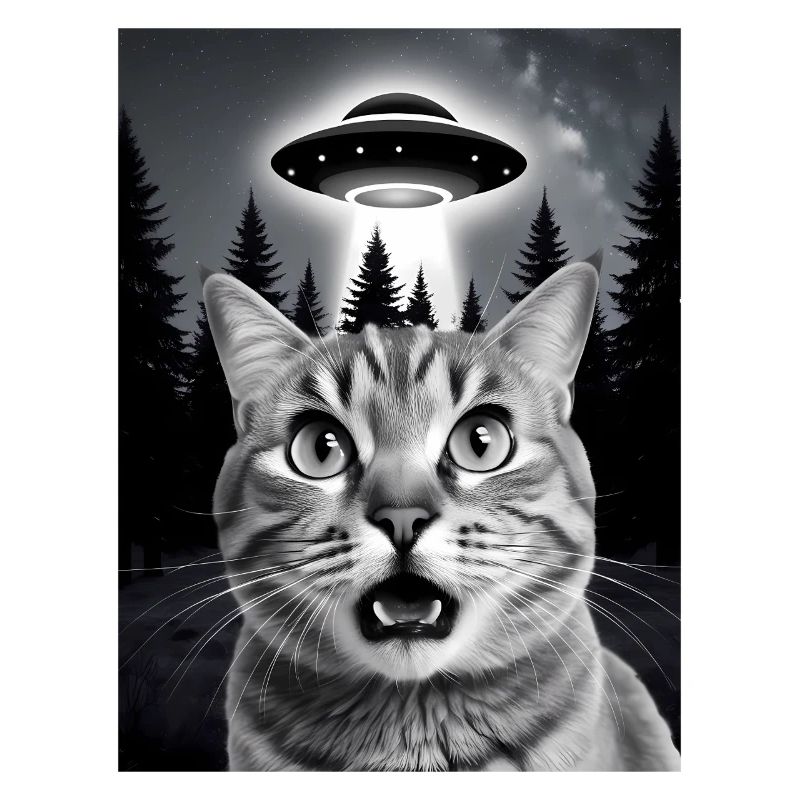 Selfie von einer Katze mit Ufo