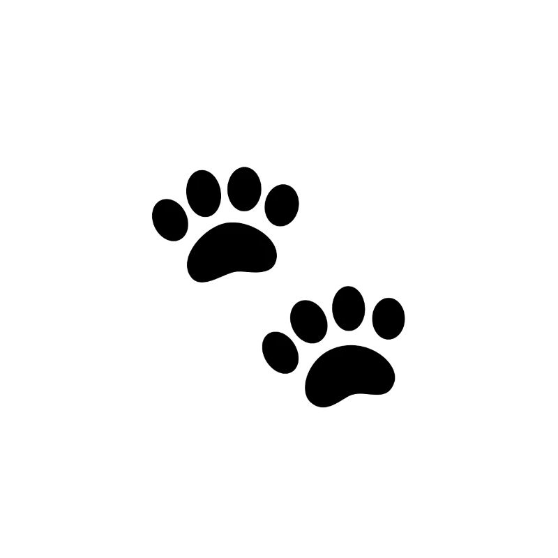 Paw print
