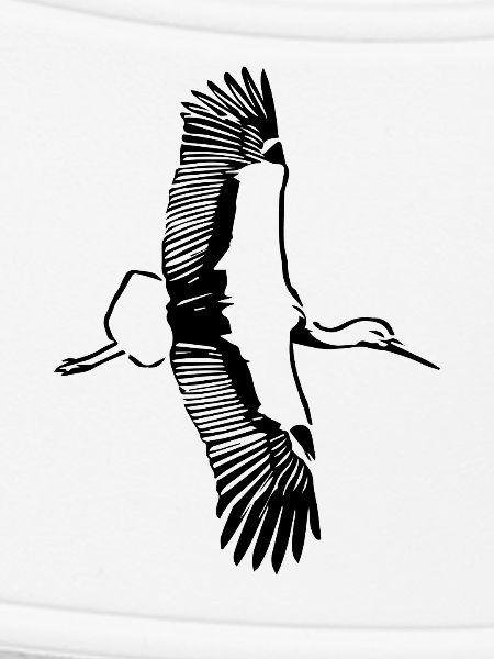 Flug des Storches