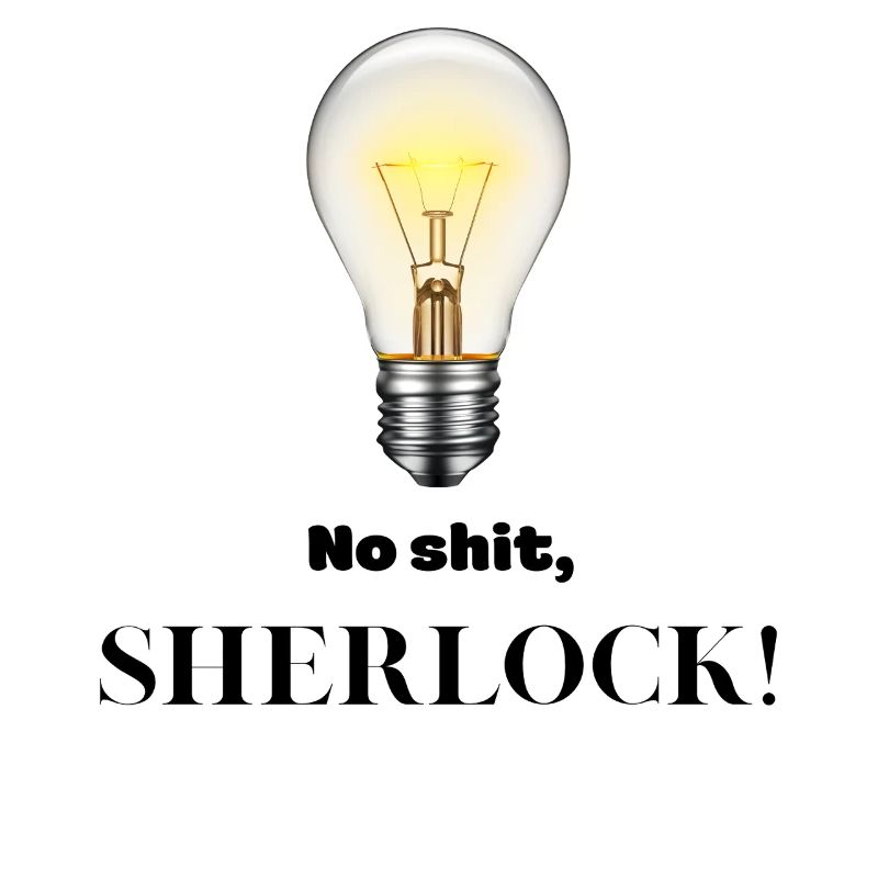 Pas de merde Sherlock !
