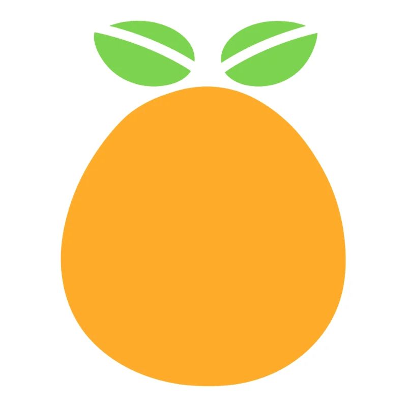 Design Graphique Orange Fruit avec Mangue