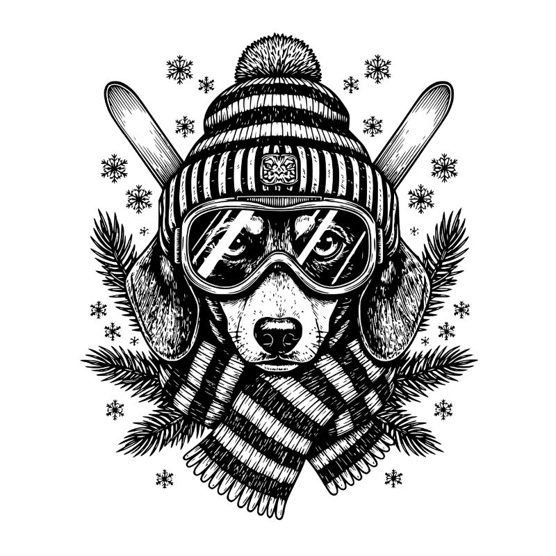Ski teckel chien ski