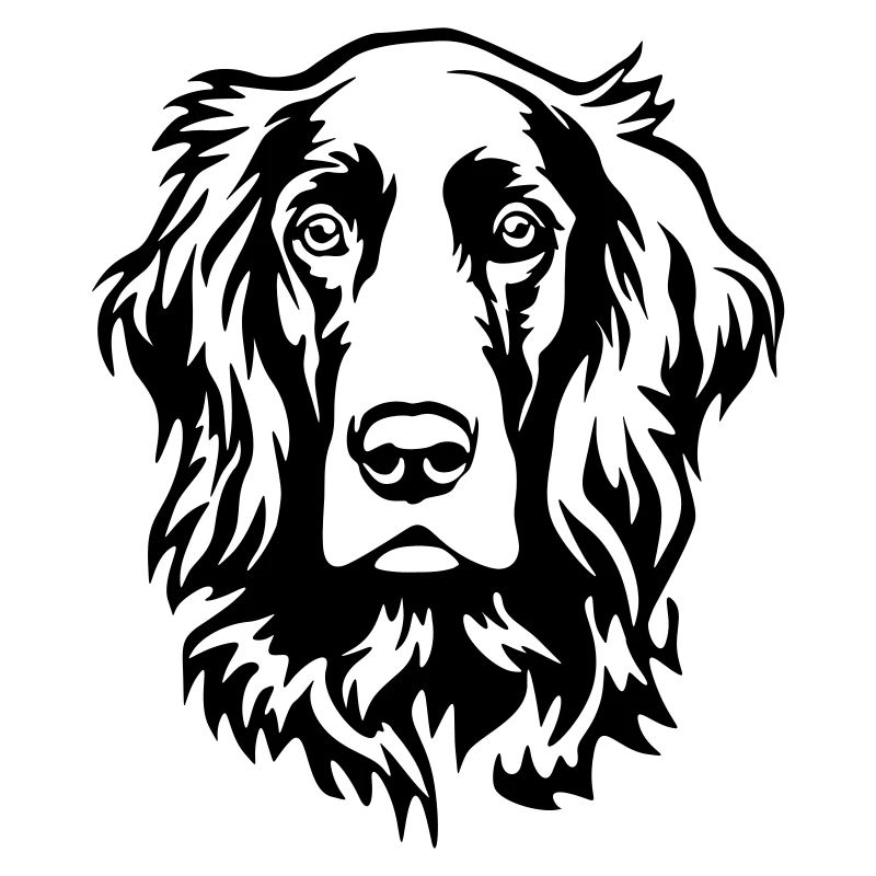 Irish Setter Kopf