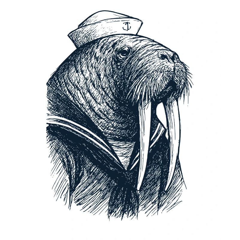 Walrus Captain